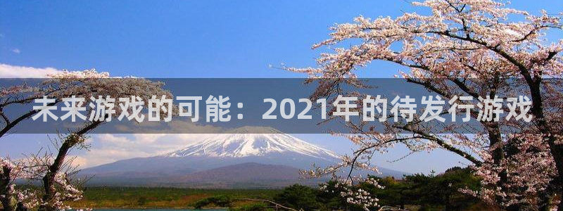 bbin视讯集团品牌策划机构：未来游戏的可能：2021年的待发行游戏