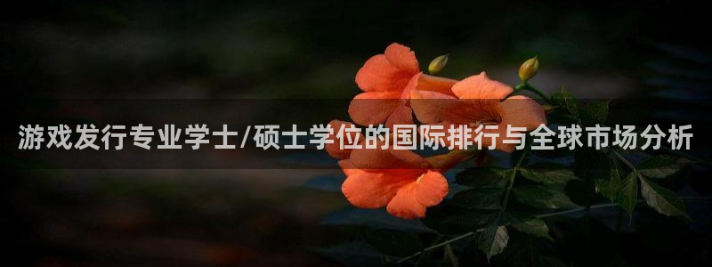 bbin视讯技术有限公司官网：游戏发行专业学士/硕士学位的国际排行与全球市场分析