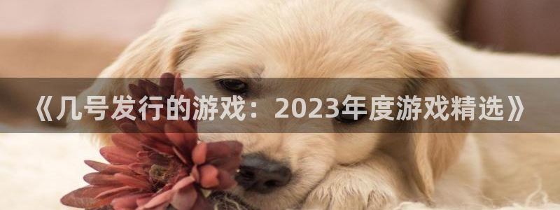 bbin视讯子音乐：《几号发行的游戏：2023年度游戏精选》