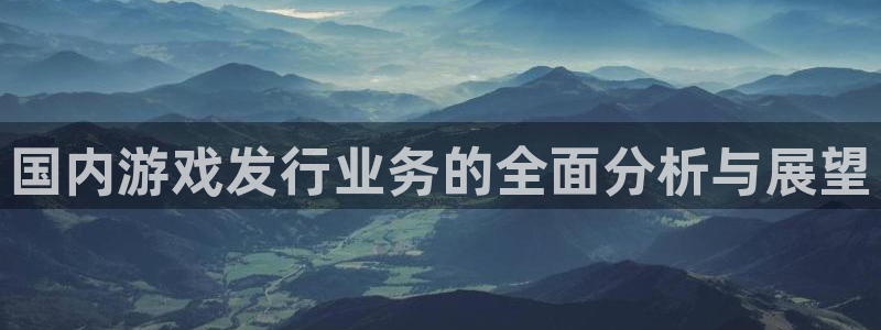法国bbin视讯lvnces是奢侈品吗：国内游戏发行业务的全面分析与展望
