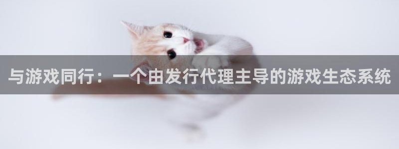 bbin视讯男装品牌：与游戏同行：一个由发行代理主导的游戏生态系统