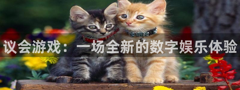 bbin视讯官网注册方法：议会游戏：一场全新的数字娱乐体验