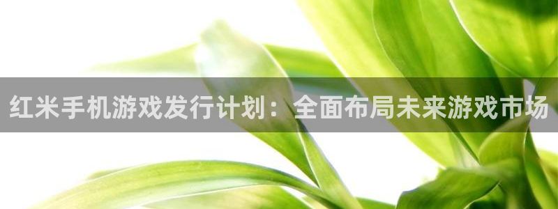bbin视讯子文化