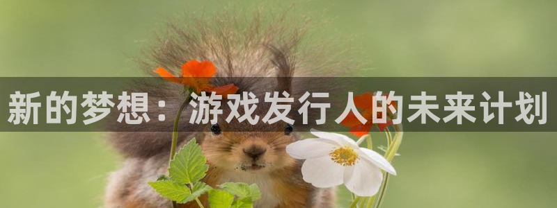 bbin视讯平台登录入口官网：新的梦想：游戏发行人的未来计划