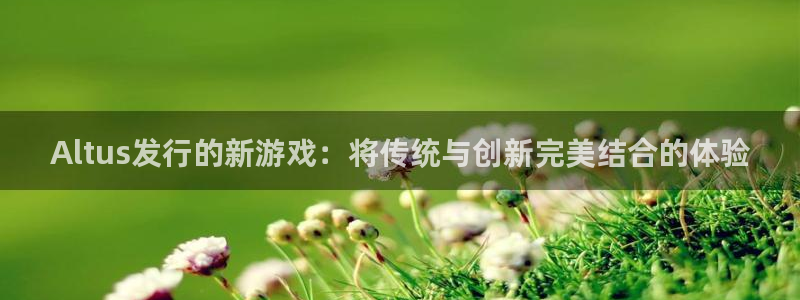 佛山bbin视讯电子商务