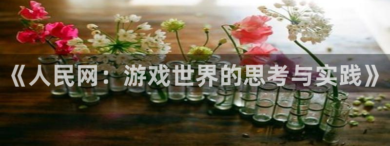 bbin视讯电子商务有限公司地址：《人民网：游戏世界的思考与实践》